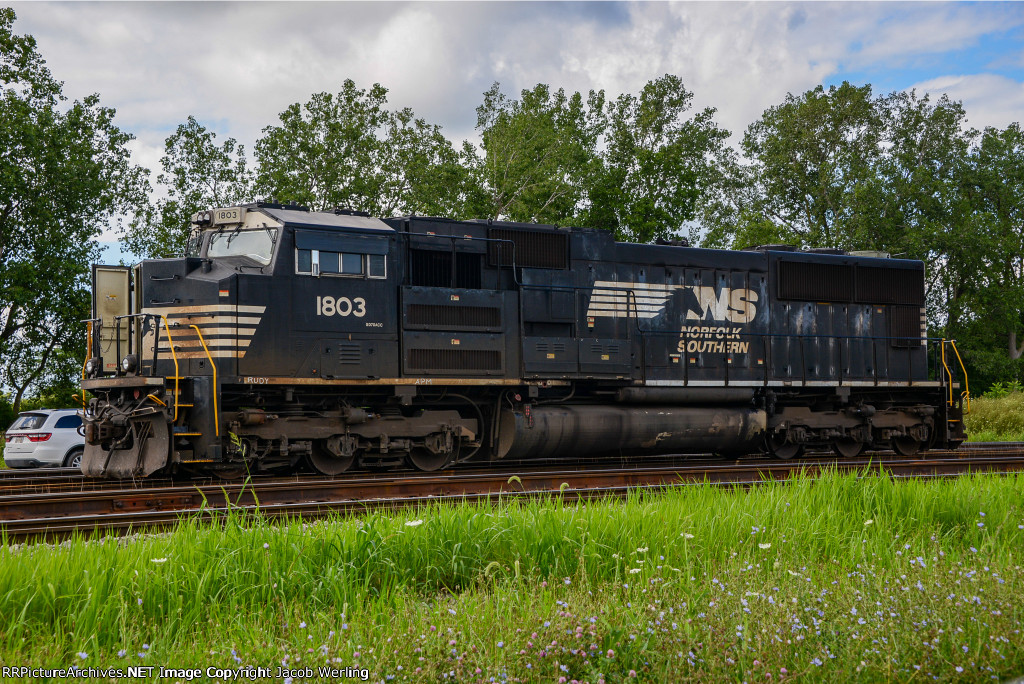 NS 1803